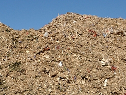 No būvgružiem atšķirotu koka atkritumu pārstrāde