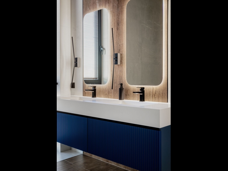 tualetes telpas dizains