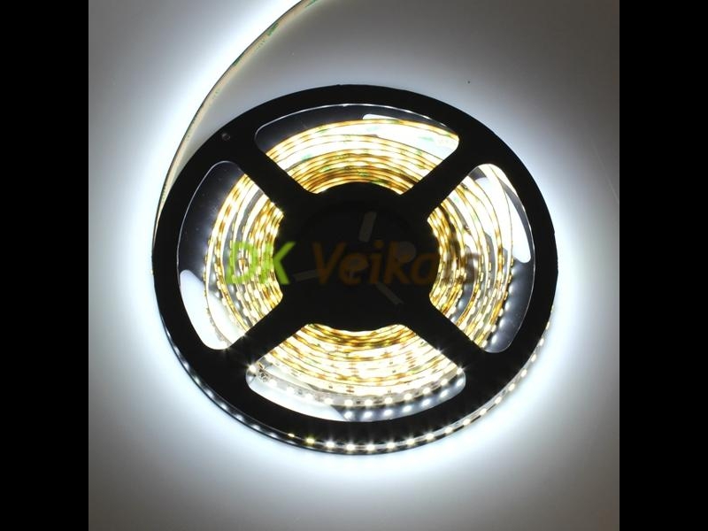 LED lentes