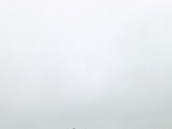 Zāles pļaušanas roboti