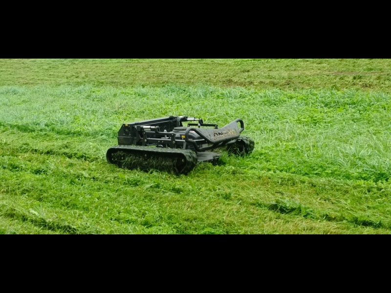 Labiekārtošanas pakalpojumi