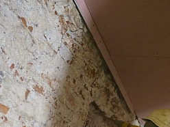 HOUSEDEXTER, SIA, darbi