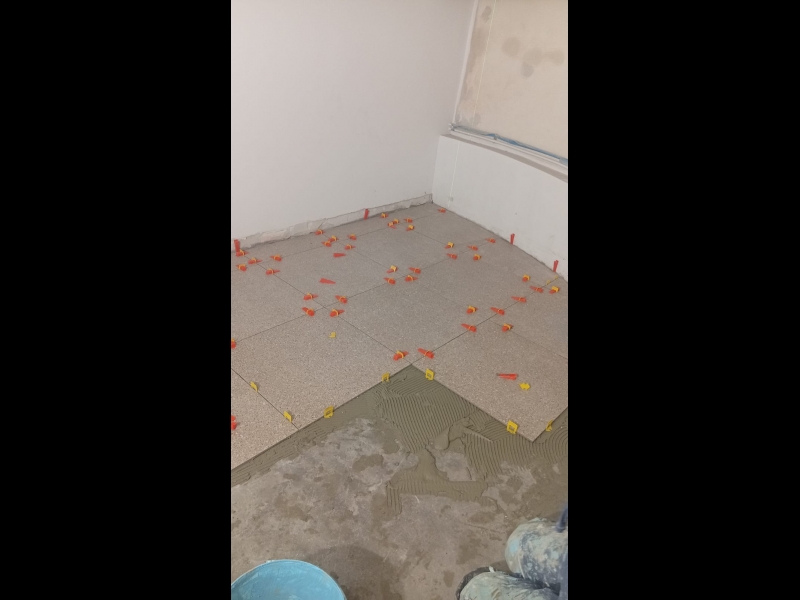 HOUSEDEXTER, SIA, darbi