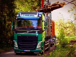 Kokmateriālu iepirkšana