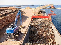 Kokmateriālu tirdzniecība