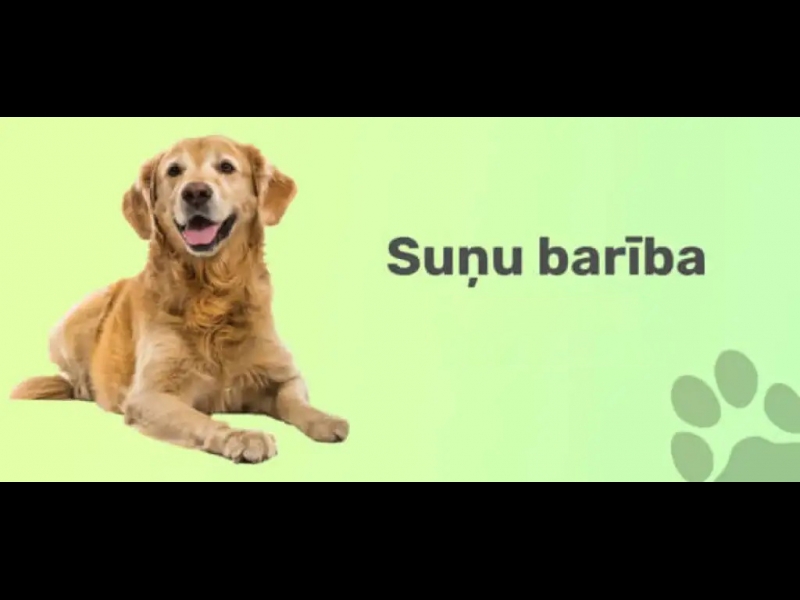 suņu barība
