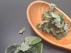 Aprikožu piparmētra