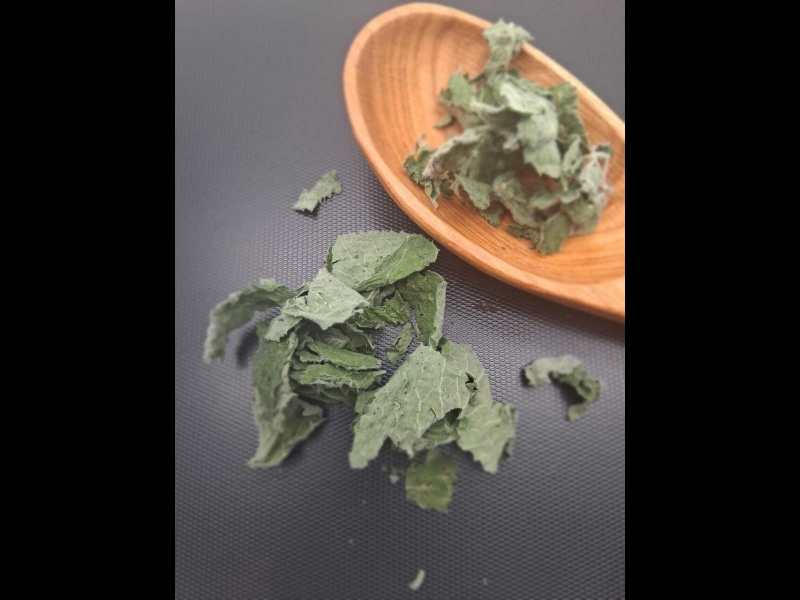 Aprikožu piparmētra