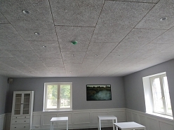 Kokskaidu fibrolīta griesti