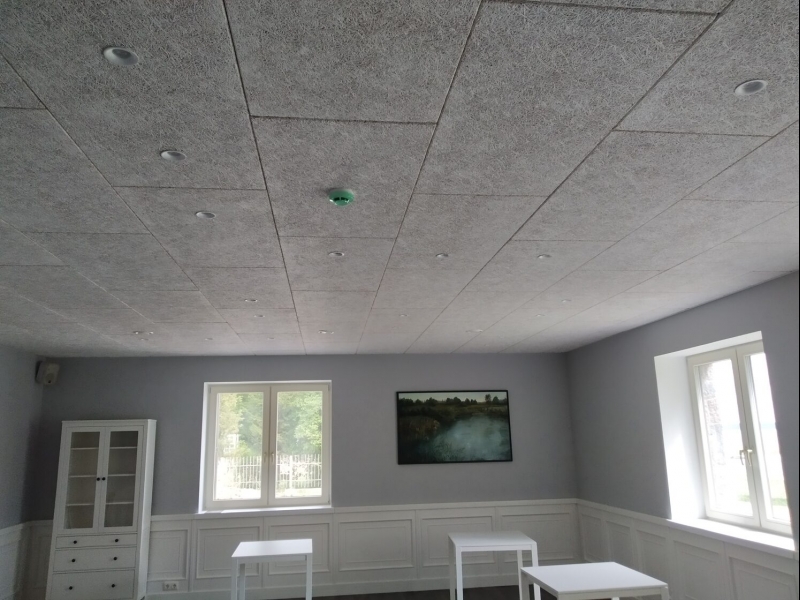 Kokskaidu fibrolīta griesti