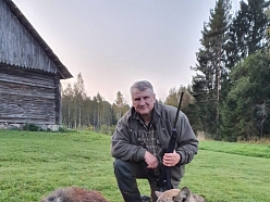 Vilku medības