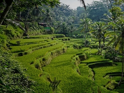 piedzīvojumu ceļojumi