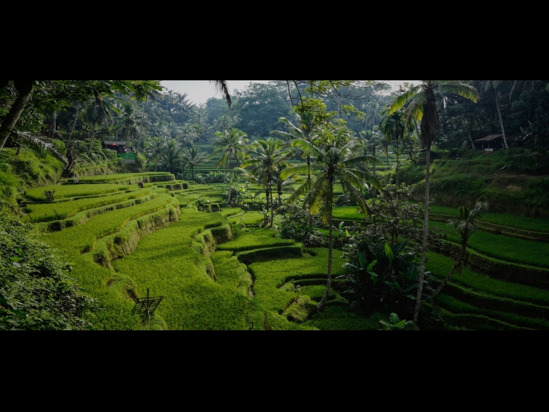 piedzīvojumu ceļojumi