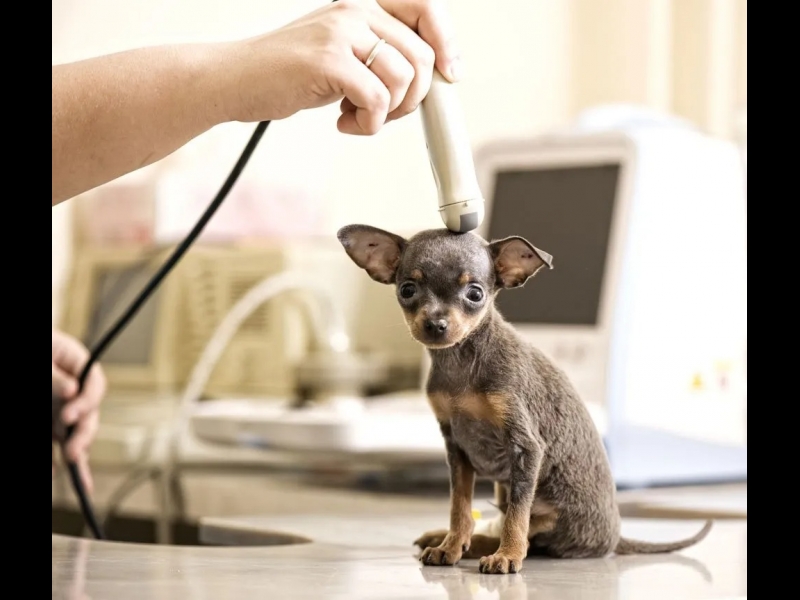 Ultrasonogrāfiskie izmeklējumi