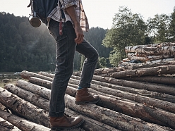 Zāģbaļķu iepirkšana