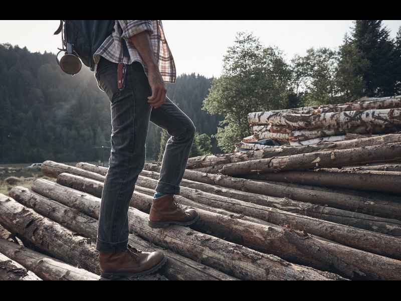 Zāģbaļķu iepirkšana