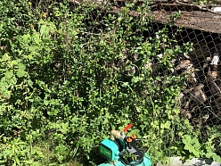 Ūdens sūknis un spices sistēma dārza laistīšanai