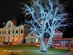 LED koku dekorācijas