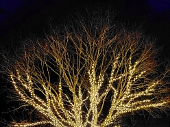 LED lampiņu virtenes