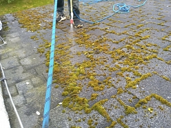 Jumta pretsūnu apstrāde