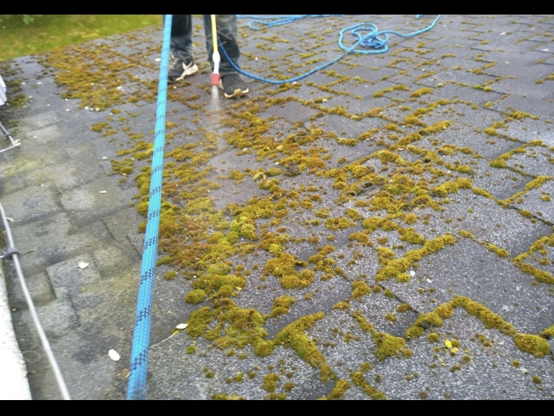 Jumta pretsūnu apstrāde