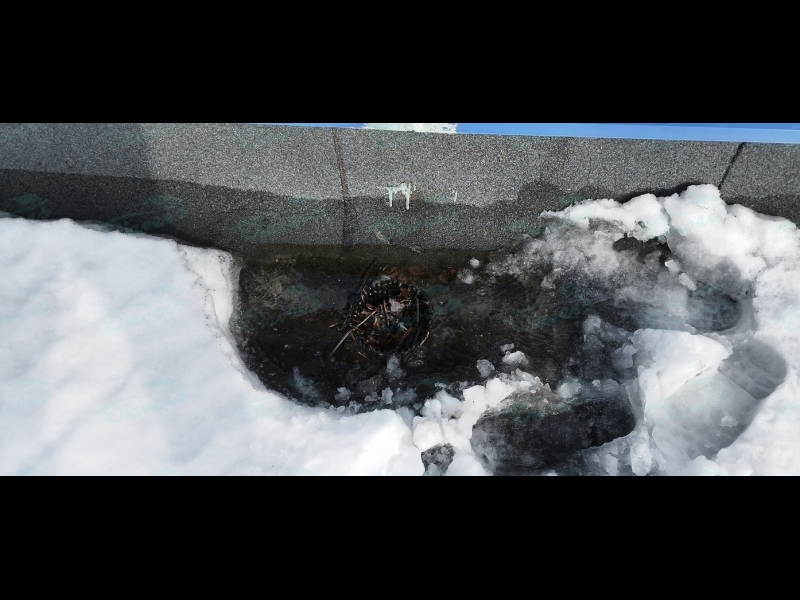 Jumta remonts ziemā