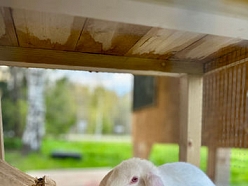 Kārums - M, SIA kafejnīca