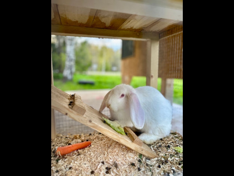 Kārums - M, SIA kafejnīca