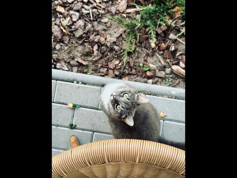 Kārums - M, SIA kafejnīca