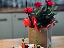 Kārums - M, SIA kafejnīca