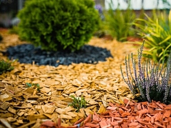 Mulčas pielietojums