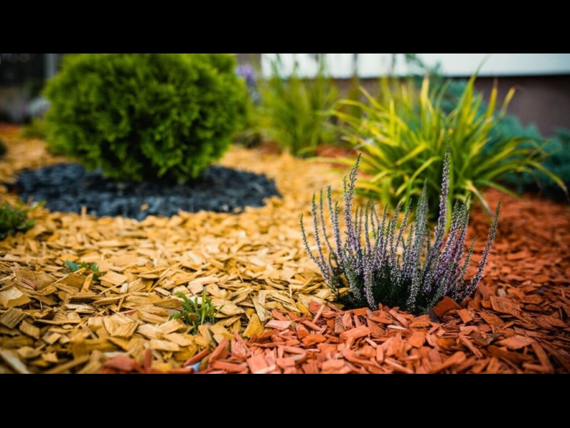 Mulčas pielietojums