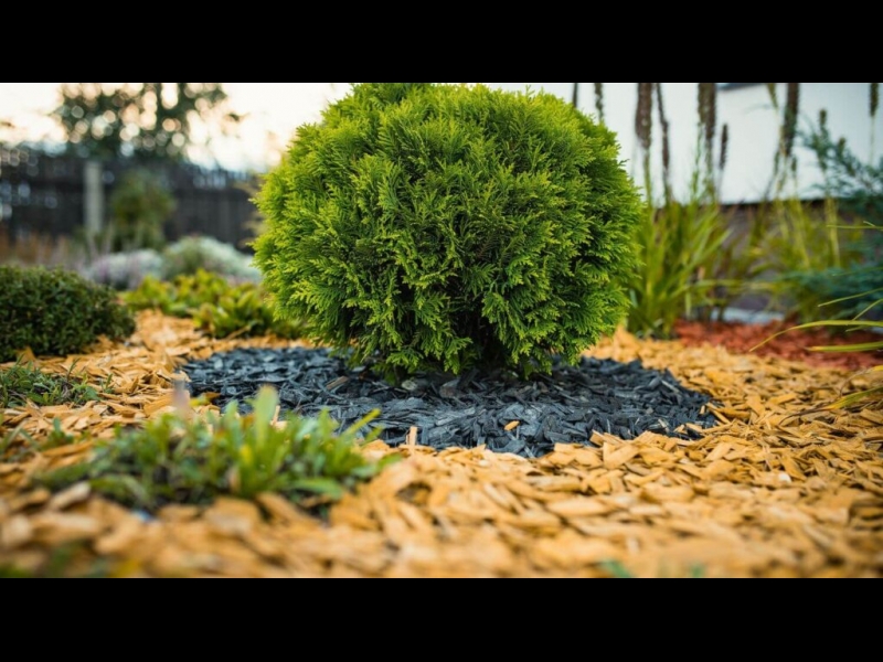 Mulčas pielietojums