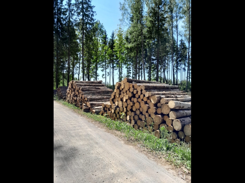 krautuve