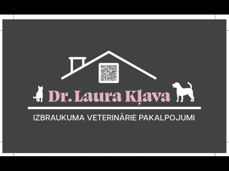Izbraukuma aprūpe mājdzīvniekiem