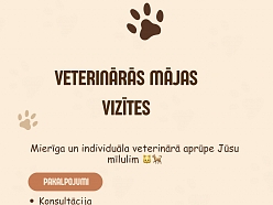 Veterinārās mājas vizītes