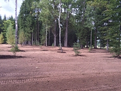 Laukuma līdzināšana