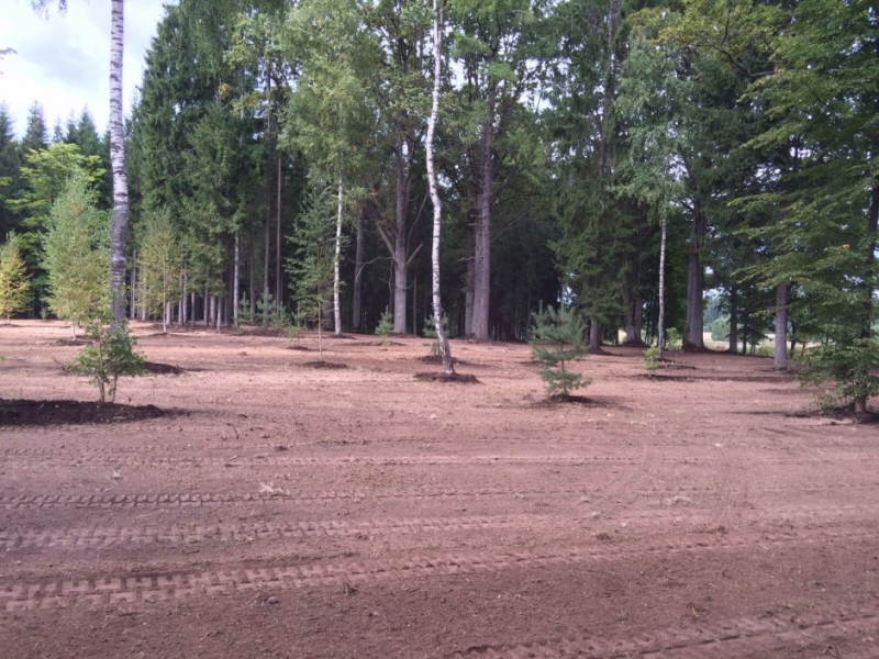 Laukuma līdzināšana