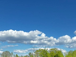 Labiekārtošanas pakalpojumi
