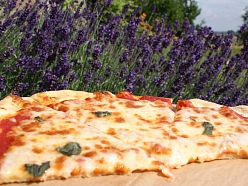 Pica, gatavota uz atklātā uguns pie dabas