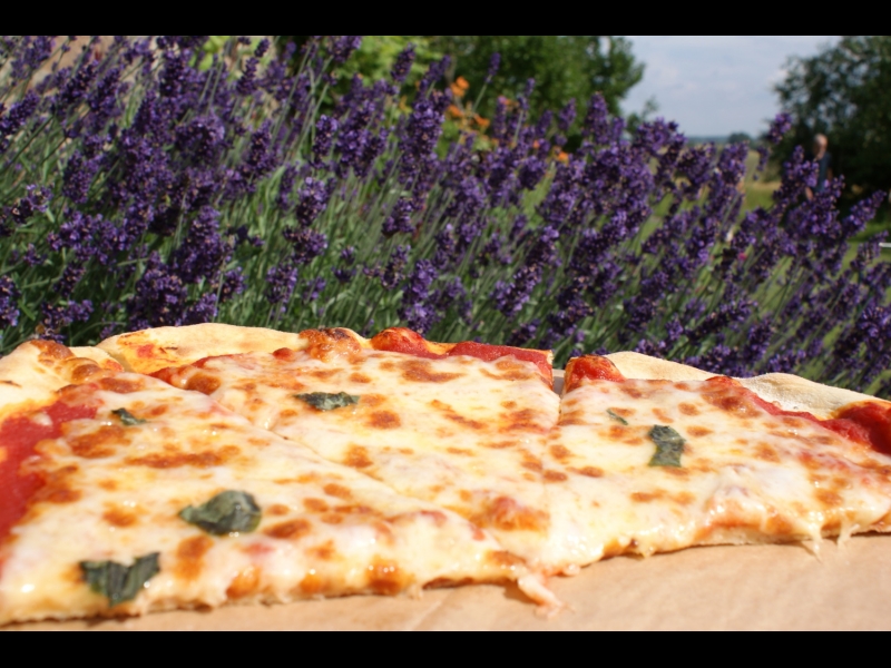 Pica, gatavota uz atklātā uguns pie dabas