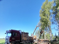 Mežizstrādes transports kokmateriālu pārvietošanai