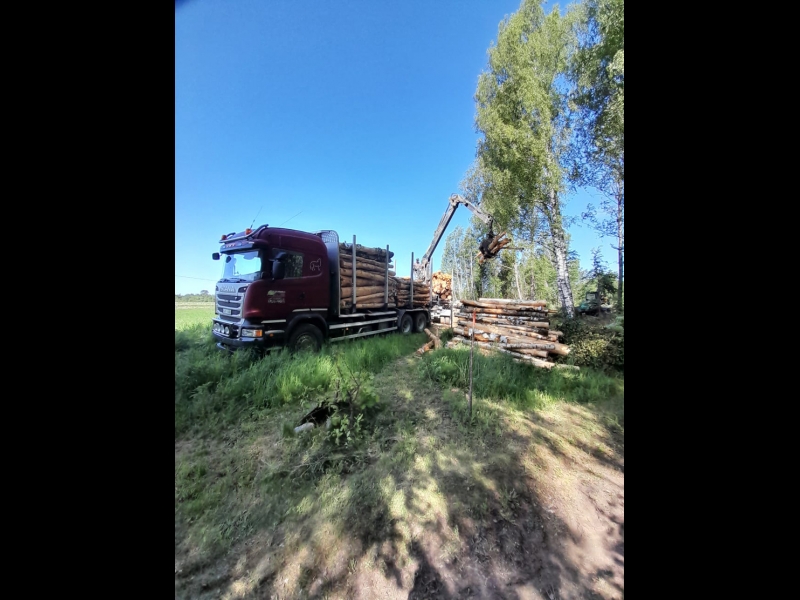 Mežizstrādes transports kokmateriālu pārvietošanai