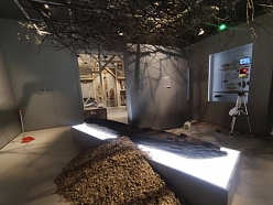 Individuāla dizaina izstrāde