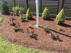 Mulčas pielietojums