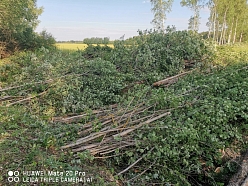 Kokmateriālu iepirkšana