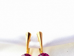 Apzeltīti sudraba auskari.