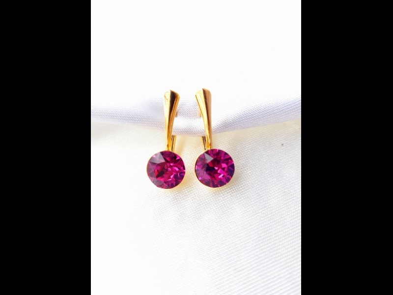 Apzeltīti sudraba auskari.