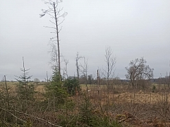 Stādijuma aizsardzības darbi