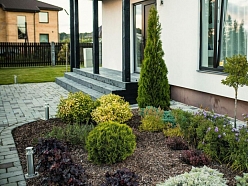 Mulčas pielietojums